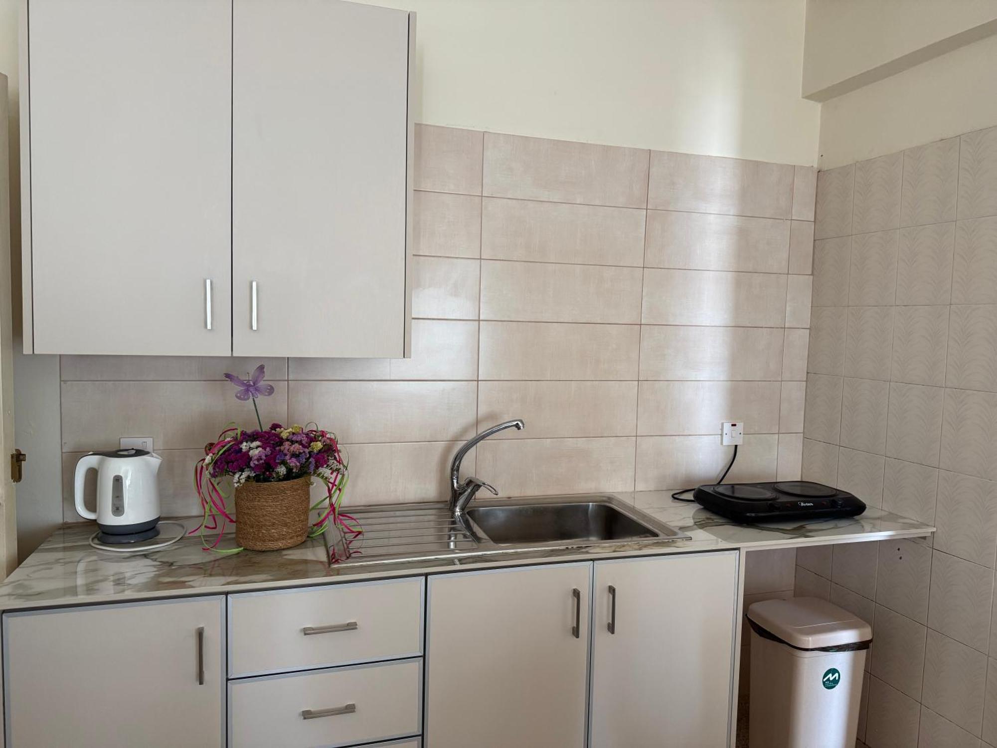 Terpsithea Apartments 아이아 나파 외부 사진